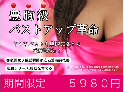 ビービリア(B.villea)の写真
