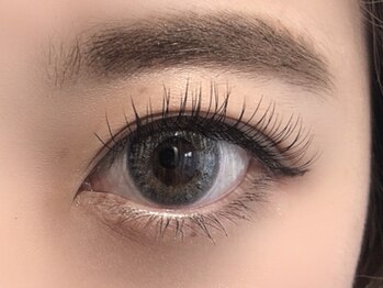 リビング(LIVING)/【フラットラッシュ付け放題】