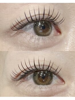 リグ(rig')/LEDフラットセーブルラッシュ