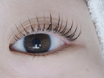 comoda eye 神戸三宮 マツエク / まつげパーマ / LED / パリジェンヌ【3/1OPEN予定】/カール重視◎ナチュラルカール