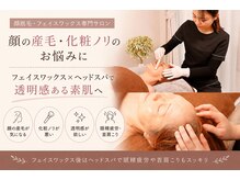コモレビ(komorebi)