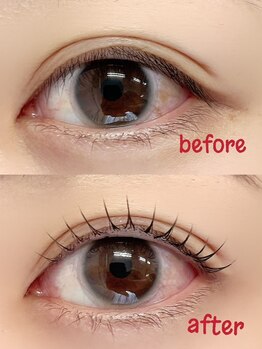 アイエク(iEQ)/まつ毛パーマ/ラッシュリフト