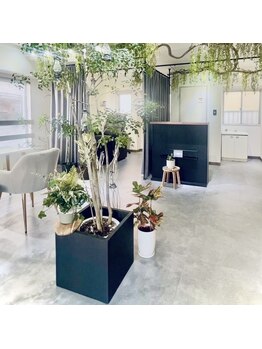 エイム(Aim)の写真/【ゆったり施術を受けられる小規模サロン】自然を感じる癒し空間でリラックスしながら理想の美爪に♪
