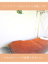 ナップ(NAP)/店内　　ベット施術スペース