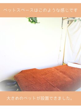 ナップ(NAP)/店内　　ベット施術スペース