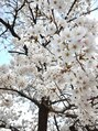 ビバ 佐久店(VIVA)&nbsp;春の季節が好きです♪桜も毎年楽しみです＊
