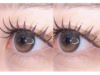 ララ(RARA)/カラーバインド100束¥8000