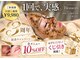 ブロッサム(Blossom)の写真