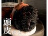 人気NO.1【ストレス/疲労/不調から解放】頭皮鍼+ヘッドスパ 90分¥8,800