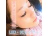 【OPEN記念価格☆】LED・３Dレイヤー　本数無制限コース　￥6980