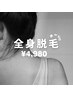 【人気No1男女OK！】全身脱毛(顔 or VIO)　¥14,000→¥4,980