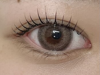 ローラン(LORAN)/まつげパーマ 立ち上げカール