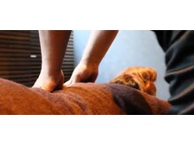 ジクブレブ整骨院 鍼灸院 小伝馬町店/代表選手やプロアスリートも通う