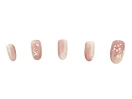 過去ナチュラルコース