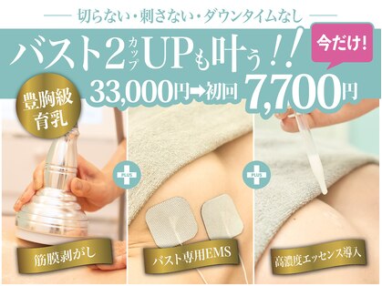 美人バスト 那覇店の写真