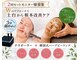 キューティ(Cutie)の写真