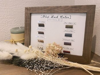 キャメル(Camel)/カラーフラットラッシュ