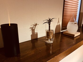 コモレビ(komorebi)/