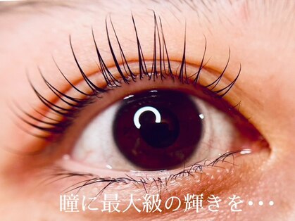 ソワカ(sowaka)の写真