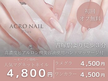 アクロネイルプラス(ACRO NAIL Plus)