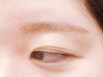 アイラッシュ マルヴァ 姶良イオン店(Eye Lash Malva)/眉毛エクステ 100本