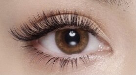  高持続性☆　バインドロック100本￥9900→8600