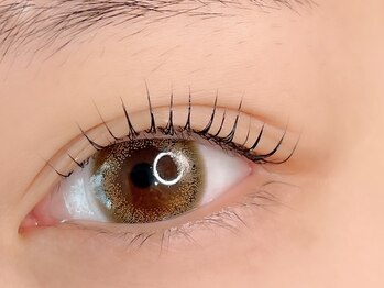 ブライト(Bright)/パリジェンヌ