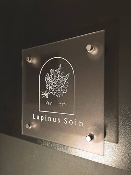 ルピナス(Lupinus)/