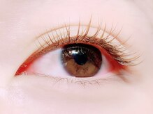 キャメル(Camel)/ブラウンカラー