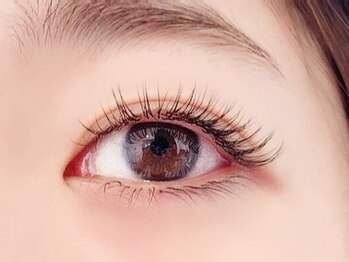 アパートメント(Appartement)の写真/eyelash salon◇【Koa】くるんっと立ち上がったパッチリeyeに♪どこから見ても可愛いを作ります◎