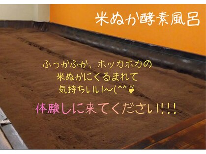 穂(みのり)の写真