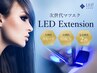 【話題の新技術】リフエク　LEDフラットラッシュ100本　
