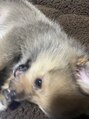 ウィ 太田(Oui)&nbsp;愛犬です！