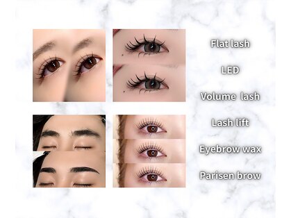 リンネ(LinNe)の写真