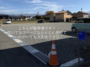 ミミ(Mimi)/