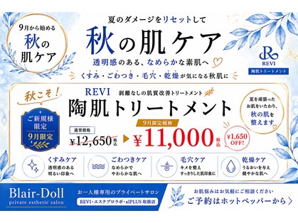 ブレアドール(Blair-Doll)の写真