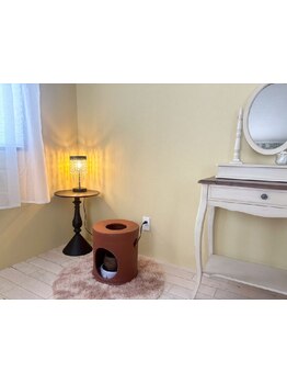 冷え改善・代謝をUPしたい