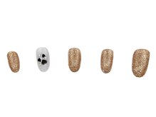 エクラン 元住吉/過去ナチュラルコース