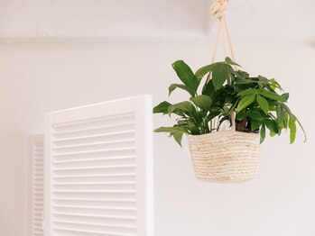 ビライフ 馬車道店(美LIFE)/