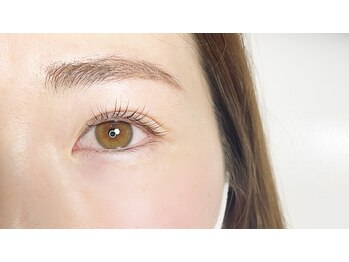 メリーラッシュ(MARY LASH)/上ラッシュリフト