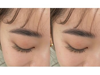 ビューティーバーコア(Beauty bar KOA)/フラットラッシュ 100本