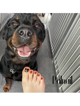 パルネイル(Pal nail)/やり放題コース