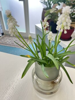 マシュマロハンド/肩こり/冷え/むくみ改善