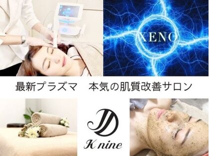 ケーナイン(K nine)の写真