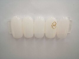 季節の定額4900円コ―ス