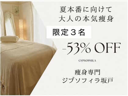 ジプソフィラ 坂戸店の写真