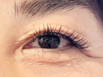 リヴェール/フラットラッシュ100本