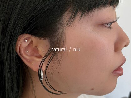 ニウ(niu)の写真