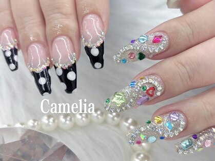 カメリア(Camelia)の写真