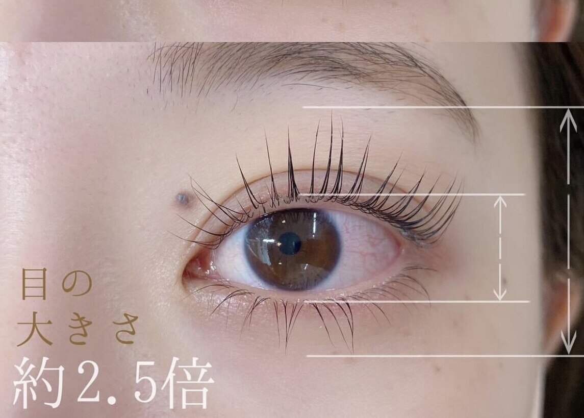 2回目以降☆人気No.1まつ毛パーマ☆【上下】パリジェンヌラッシュ or カール
